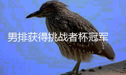 男排獲得挑戰(zhàn)者杯冠軍 鎖定2025年世聯(lián)賽和世錦賽參賽資格