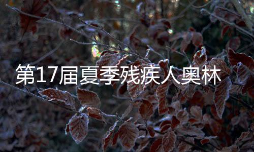 第17屆夏季殘疾人奧林匹克運動會:中國體育代表團多點開花 在多個項目上斬獲獎牌