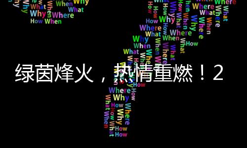 綠茵烽火，熱情重燃！2024中國網(wǎng)絡媒體足球精英賽開幕