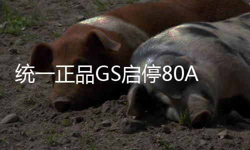 統(tǒng)一正品GS啟停80AH雷克薩斯ES200RX350270 IS300LS 汽車原裝電瓶