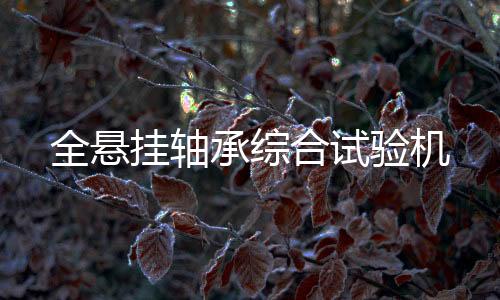 全懸掛軸承綜合試驗機