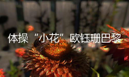 體操“小花”歐鈺珊巴黎留憾 母親:她從沒(méi)打過(guò)退堂鼓