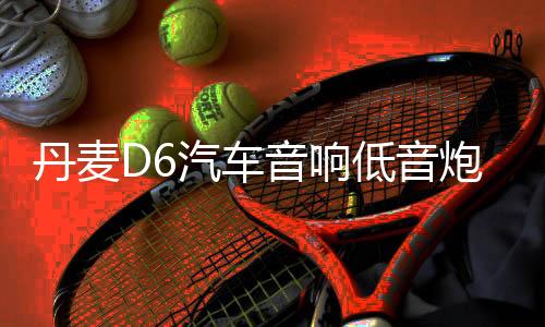 丹麥D6汽車音響低音炮車門喇叭四路功放車載4聲道大功率功放12V