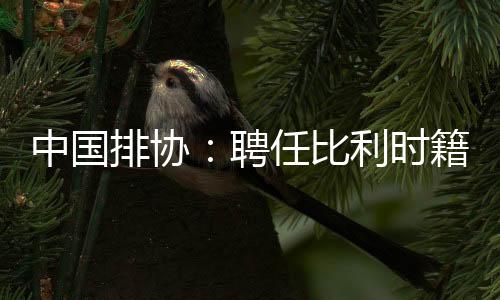 中國排協(xié):聘任比利時籍教練維塔爾·海寧為中國男排主教練