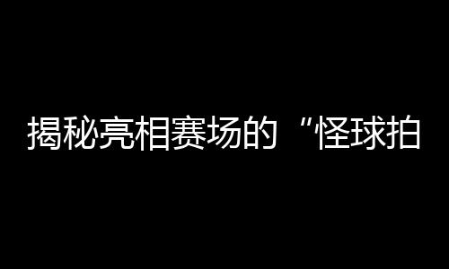 揭秘亮相賽場(chǎng)的“怪球拍”：瑞典選手的球拍為何是六邊形？