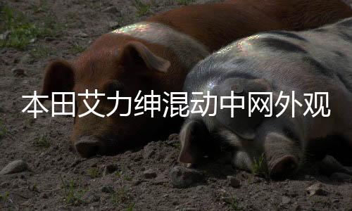 本田艾力紳混動中網(wǎng)外觀改裝件前臉保險(xiǎn)杠大包圍專用裝飾亮條配件