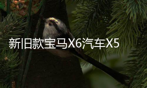 新舊款寶馬X6汽車X5電子手剎模塊電機(jī)駐車伺服 E70 E71馬達(dá)配件