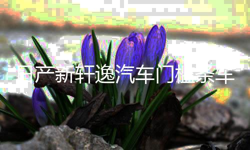 日產(chǎn)新軒逸汽車門檻條車用改裝迎賓踏板配件防踩貼裝飾用品大全