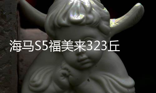 海馬S5福美來323丘比特騎士海福星普力馬M3瓦爾塔蓄電池汽車電瓶