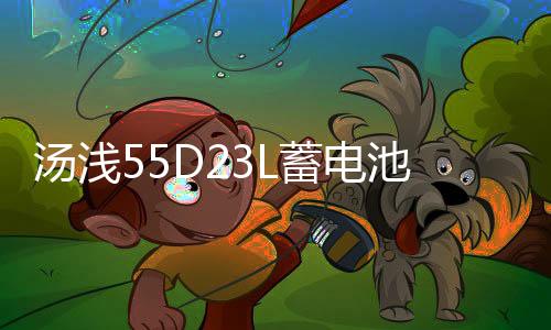 湯淺55D23L蓄電池適配現(xiàn)代朗動(dòng)雅閣帝豪卡羅拉天籟花冠汽車蓄電瓶