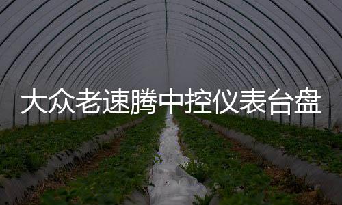 大眾老速騰中控儀表臺盤避光墊專用汽車內(nèi)飾防曬隔熱遮光墊配件改