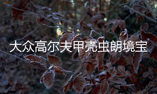 大眾高爾夫甲殼蟲朗境寶來途安尚酷原裝電瓶瓦爾塔60安汽車蓄電池
