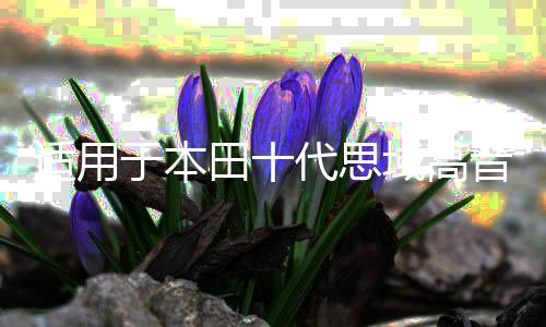 適用于本田十代思域高音喇叭16-21款思域喇叭罩音響無(wú)損改裝專(zhuān)用