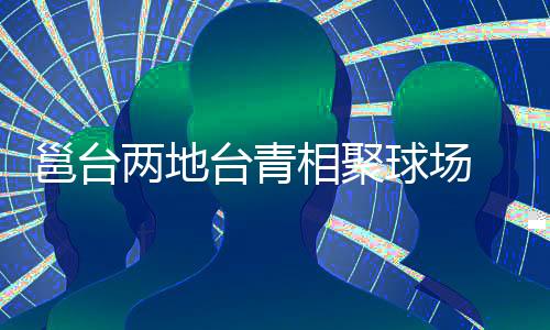 邕臺兩地臺青相聚球場 “以球會友”體驗(yàn)?zāi)蠈幓@球文化