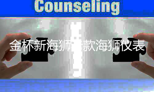 金杯新海獅老款海獅儀表工作臺(tái)防曬避光墊汽車內(nèi)飾專用品配件改裝