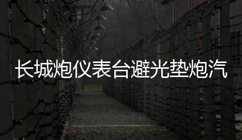 長(zhǎng)城炮儀表臺(tái)避光墊炮汽車內(nèi)飾裝飾用品配件中控臺(tái)改裝防滑防曬墊