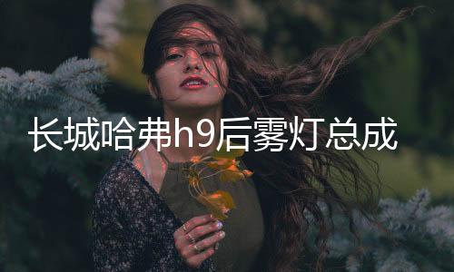 長城哈弗h9后霧燈總成 哈佛H9 后保險杠燈 后左右尾燈汽車配件