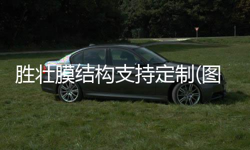 宏晟二手夾膠生產(chǎn)線多少錢
