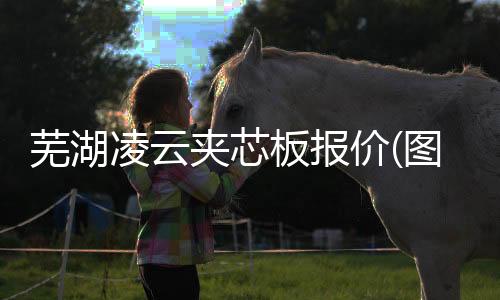 科密消費(fèi)機(jī)、龍城科密商貿(mào)(在線咨詢)、大同消費(fèi)機(jī)