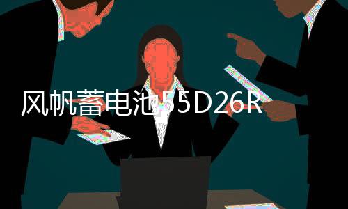 風(fēng)帆蓄電池55D26R長(zhǎng)城哈弗H6/H3/H5/H2/1.5T江淮瑞風(fēng)原裝電瓶60ah