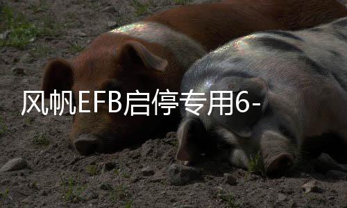 風(fēng)帆EFB啟停專用6-QW-70適英朗昂科拉朗逸邁騰汽車免維護(hù)電池電瓶
