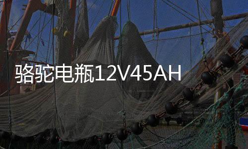 駱駝電瓶12V45AH適配長(zhǎng)安之星面包車(chē)五菱宏光s東風(fēng)小康汽車(chē)蓄電池
