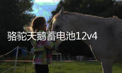 駱駝天鵝蓄電池12v45ah適配原裝五菱宏光金剛長安面包車汽車電瓶