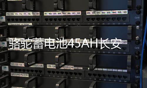 駱駝蓄電池45AH長(zhǎng)安之星2/3東方小康K17/C37小面包車原裝汽車電瓶