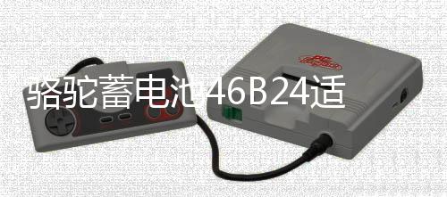 駱駝蓄電池46B24適配起亞K2現(xiàn)代瑞納瑞奕雅紳特12V45ah汽車電瓶