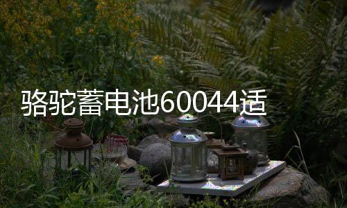 駱駝蓄電池60044適配寶馬320/530/730/奔馳S級ML350汽車電瓶100AH