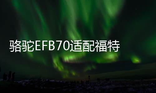 駱駝EFB70適配福特銳際/嘉年華/福睿斯科雷嘉/探界者原裝啟停電瓶