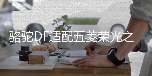 駱駝DF適配五菱榮光之光面包車(chē)北汽威旺58500汽車(chē)電瓶12V48A電池