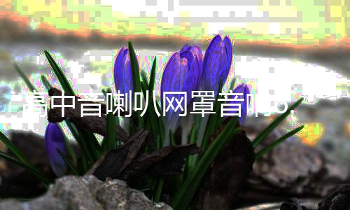 高中音喇叭網(wǎng)罩音響6.5寸1.5寸3寸3.5寸4寸鋁合金保護(hù)網(wǎng)罩裝飾圈