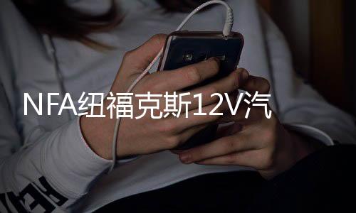 NFA紐?？怂?2V汽車電瓶充電器大功率充滿自停25A蓄電池充電機