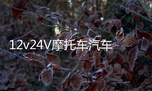12v24V摩托車汽車純銅充電器貨車叉車電瓶船用充滿自停電池充電機(jī)