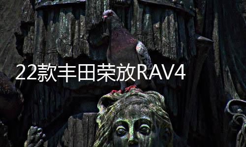 22款豐田榮放RAV4門檻條專用改裝配件迎賓踏板車內(nèi)飾裝飾汽車用品